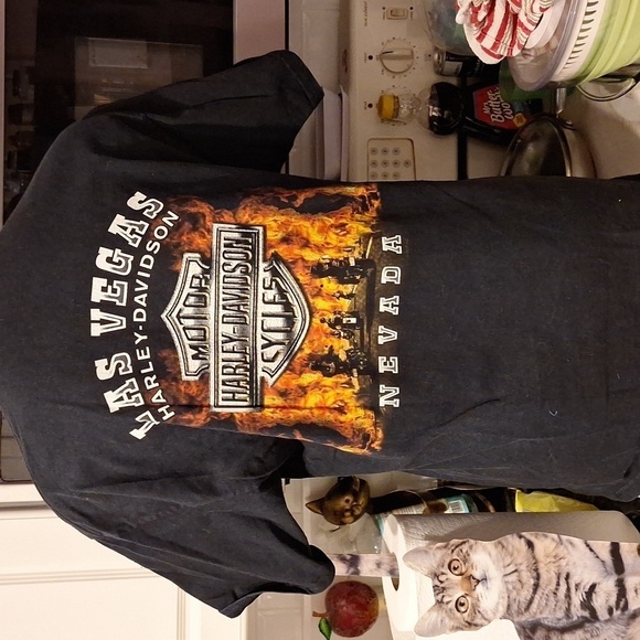 Z women's Harley Davidson black short sleeve regular size t-shirt L - Picture 3 of 5